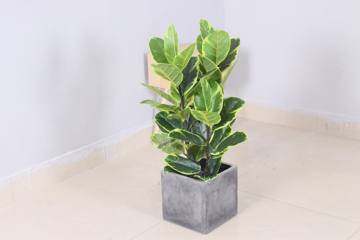 Close up of Marcolo 90cm artificial rubber tree pot