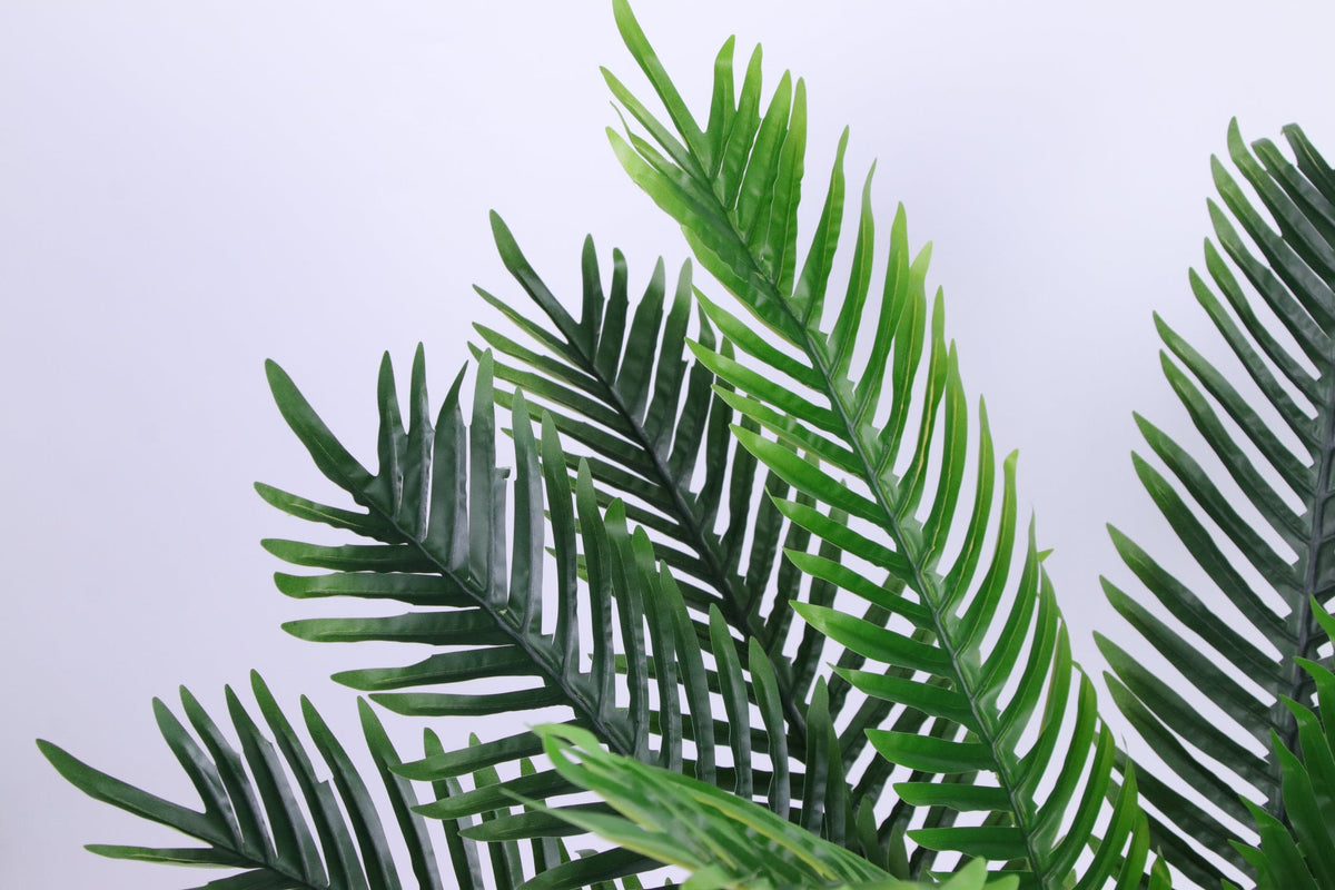Marcolo artificial Persian palm tree green leaves close-up.