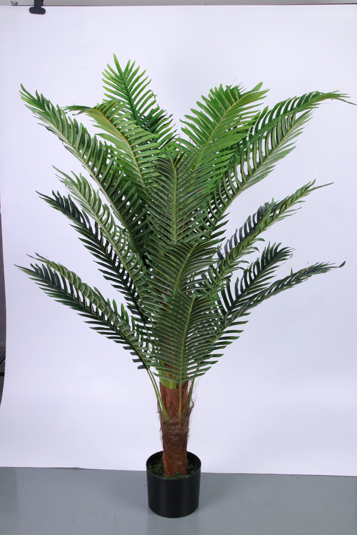Marcolo 150cm artificial Persian palm tree in a black pot.