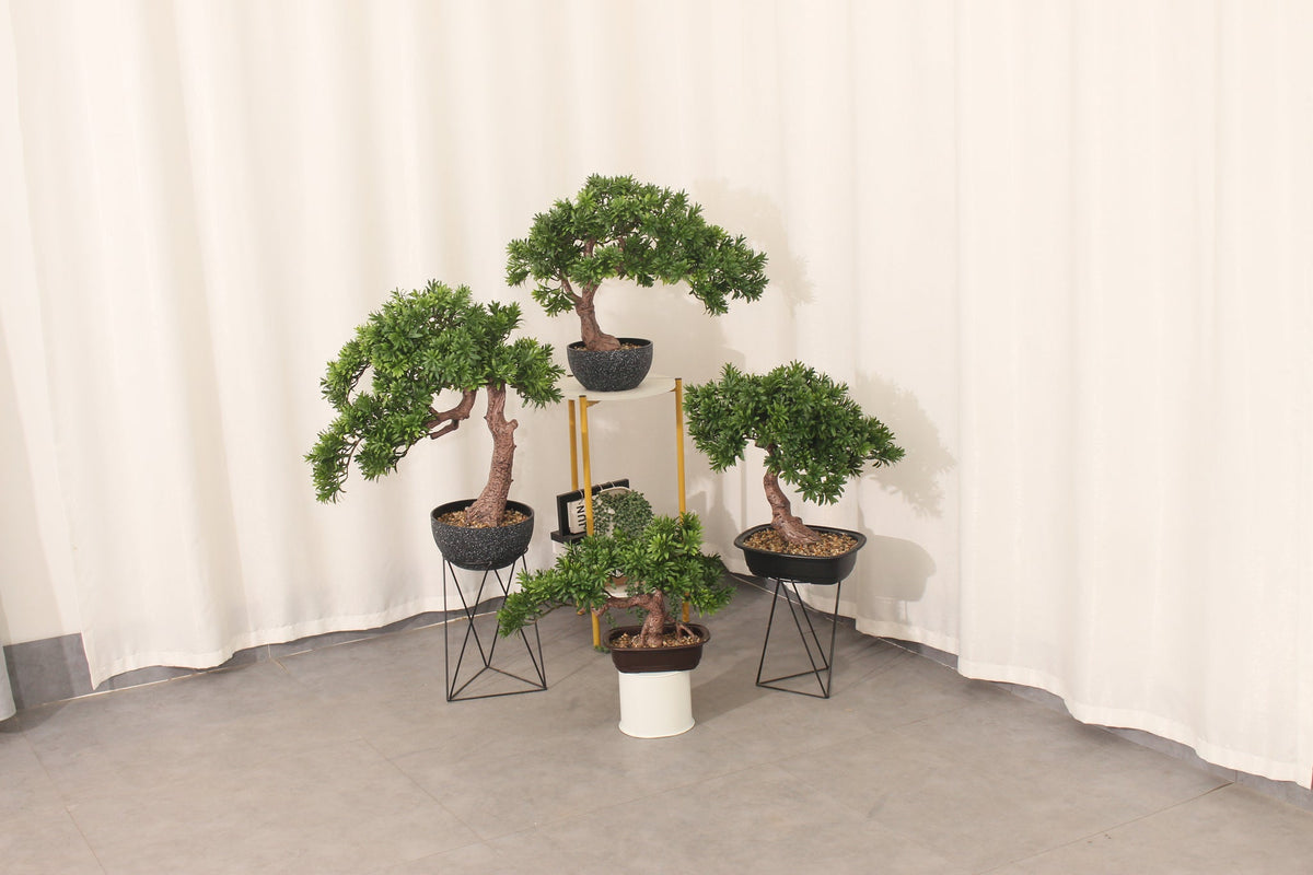 Marcolo 45 cm artificial pine bonsai shown with other sizes on plant stands
