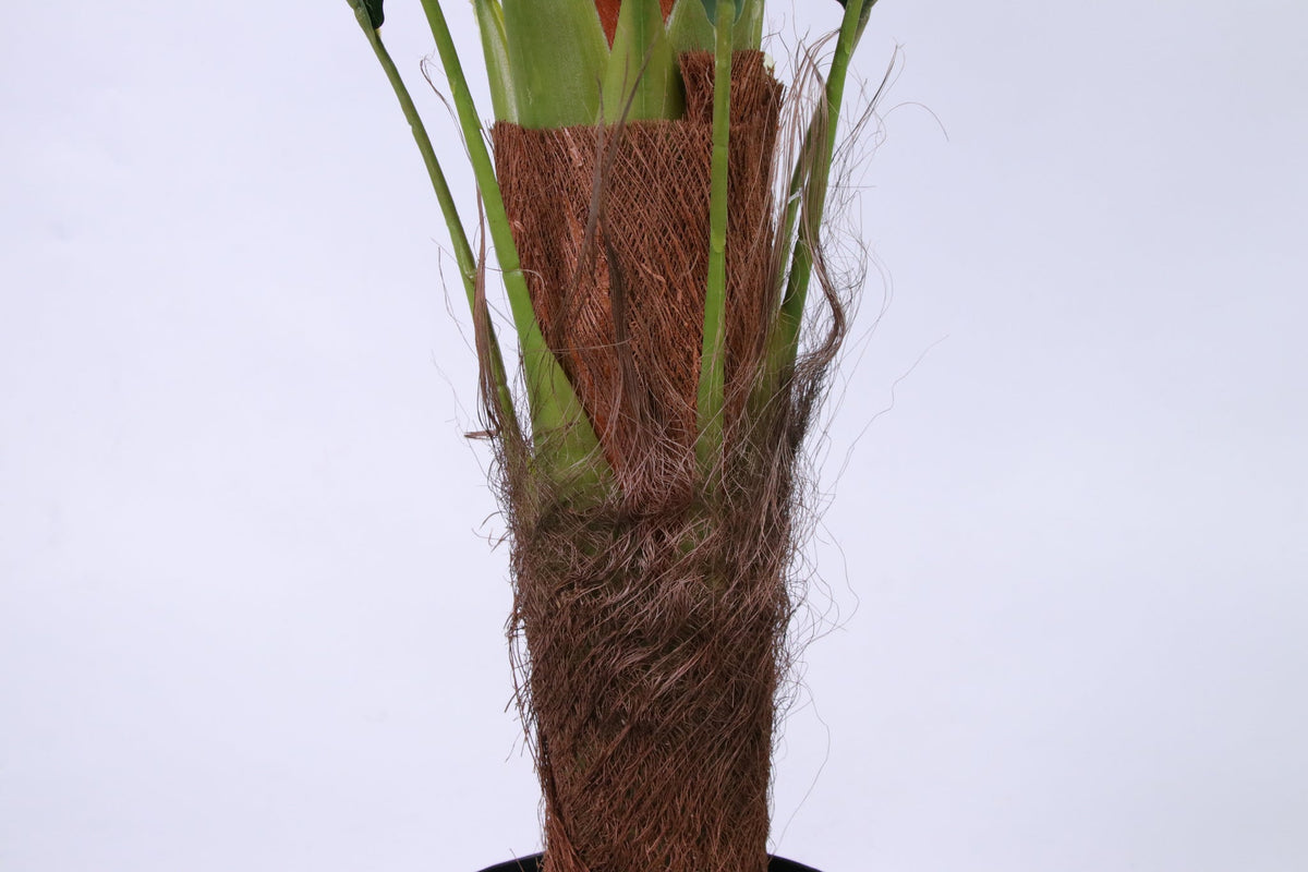 Marcolo artificial Persian palm tree textured fiber trunk.