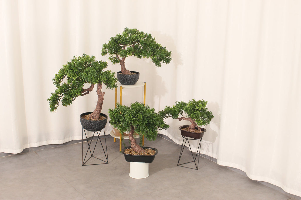 Marcolo 50 cm artificial pine bonsai shown with other sizes on plant stands