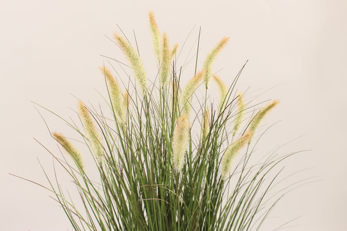 Detail of the cream seed heads on the Marcolo 90 cm artificial grass plant