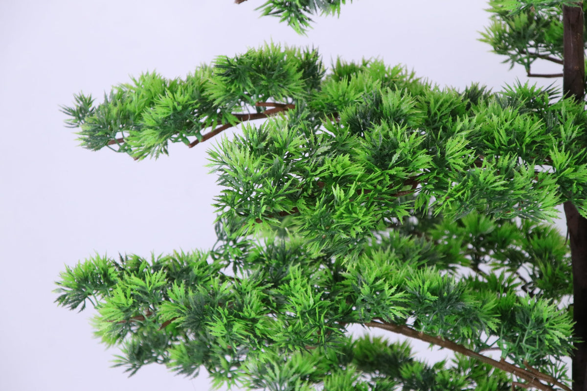 Side view of lifelike green branches on a Marcolo pine tree.