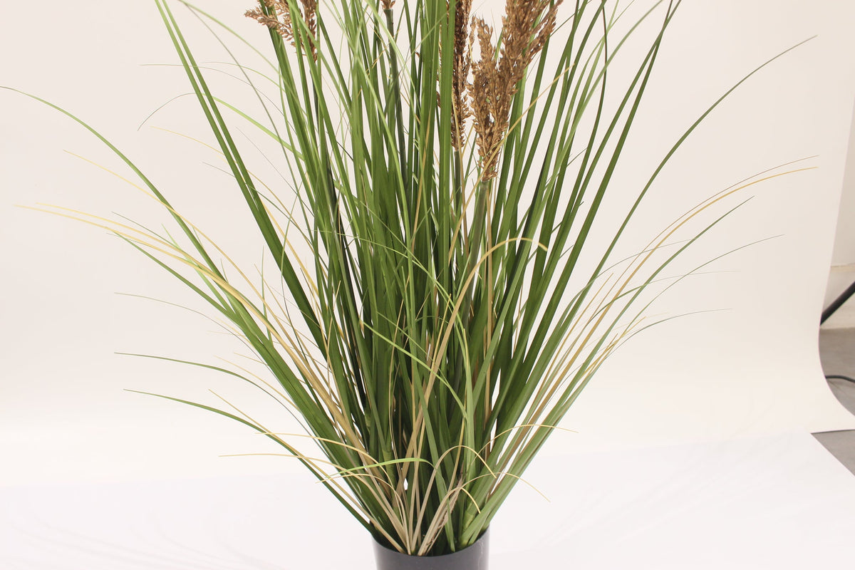 Close-up of Marcolo 90cm artificial grass with brown plumes.