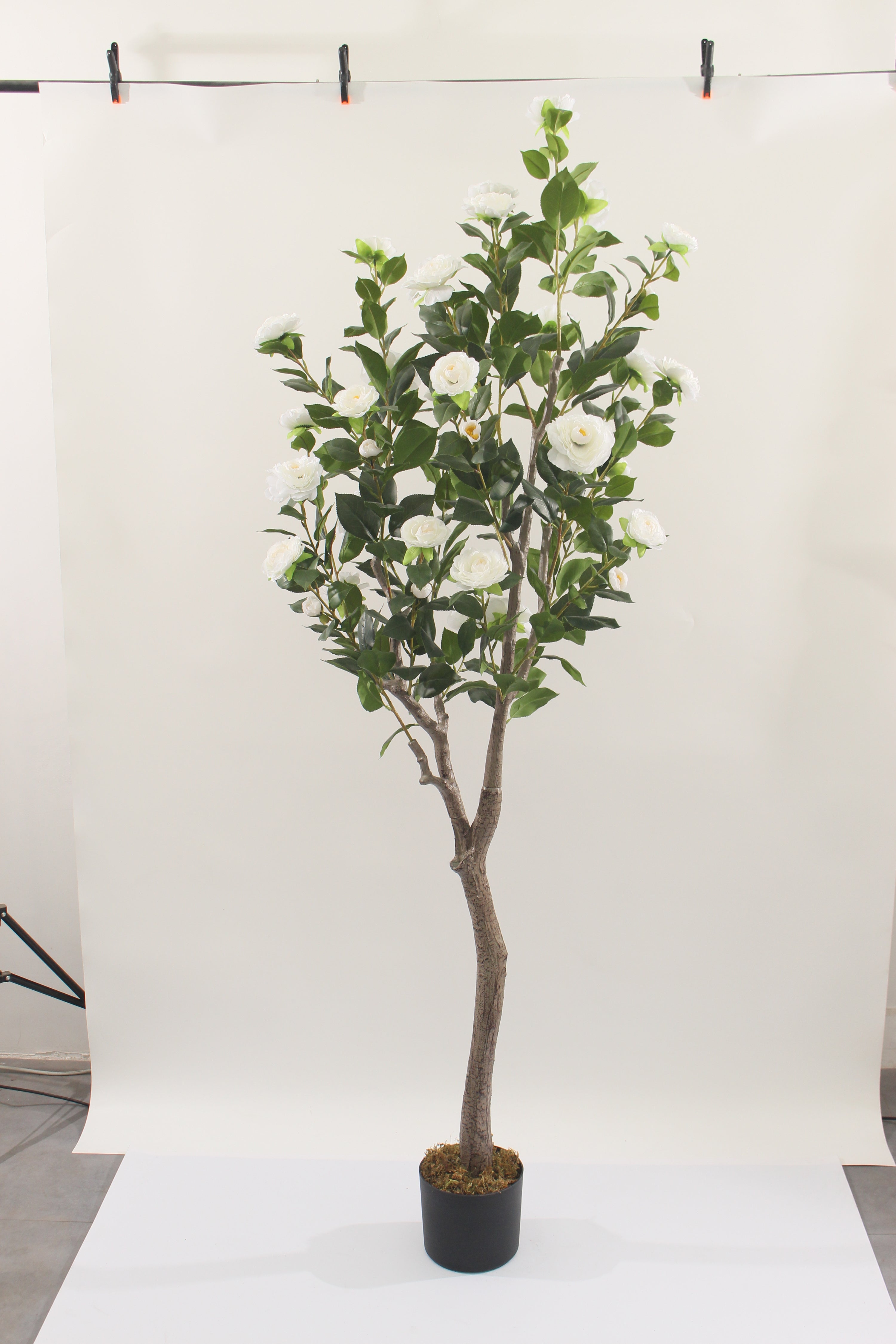 Artificial Camellia Flower Tree 180cm Elegant Indoor Décor