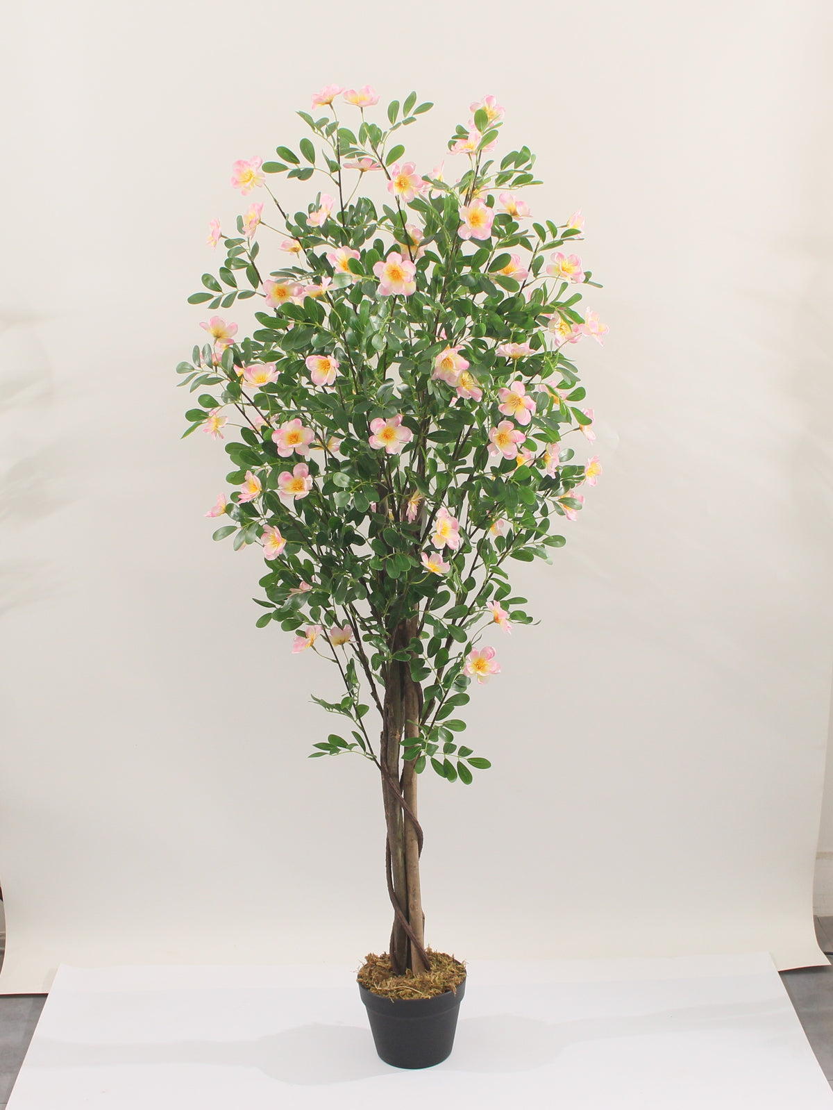 Marcolo artificial frangipani tree with pot, pink, 150 cm, full view