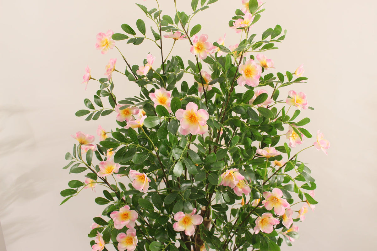 Close-up of the peach-pink flowers on the Marcolo 150 cm artificial frangipani tree