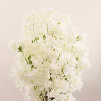 White artificial butterfly cherry blossom flowers by Marcolo.