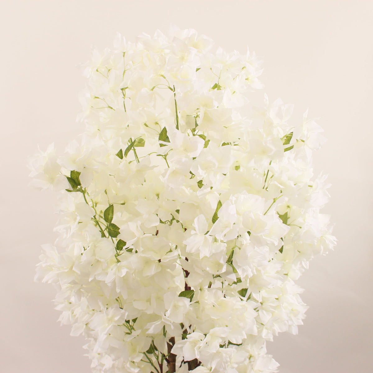 White artificial butterfly cherry blossom flowers by Marcolo.
