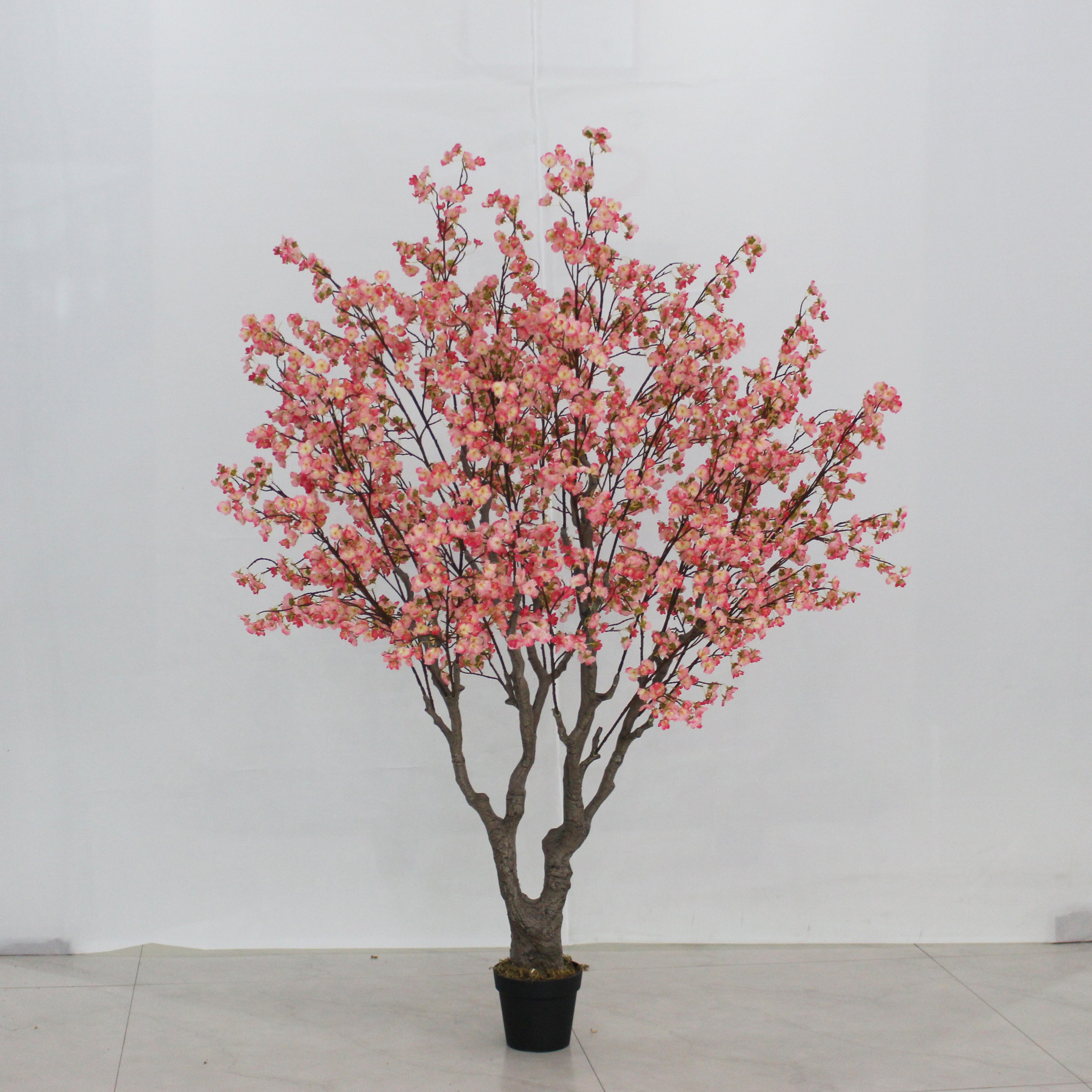 Marcolo 200cm Artificial Cherry Tree Studio Product View