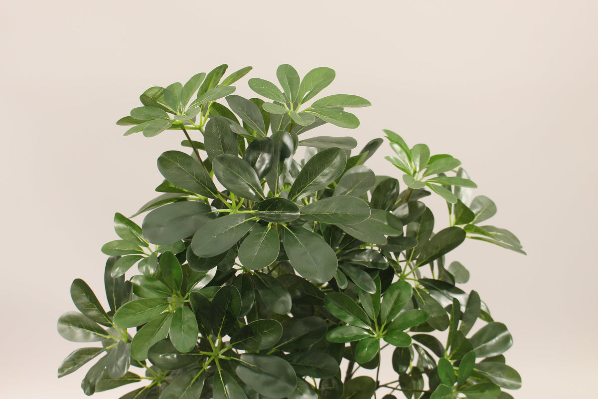 Close-up of the leaves on the Marcolo 90 cm artificial schefflera umbrella tree