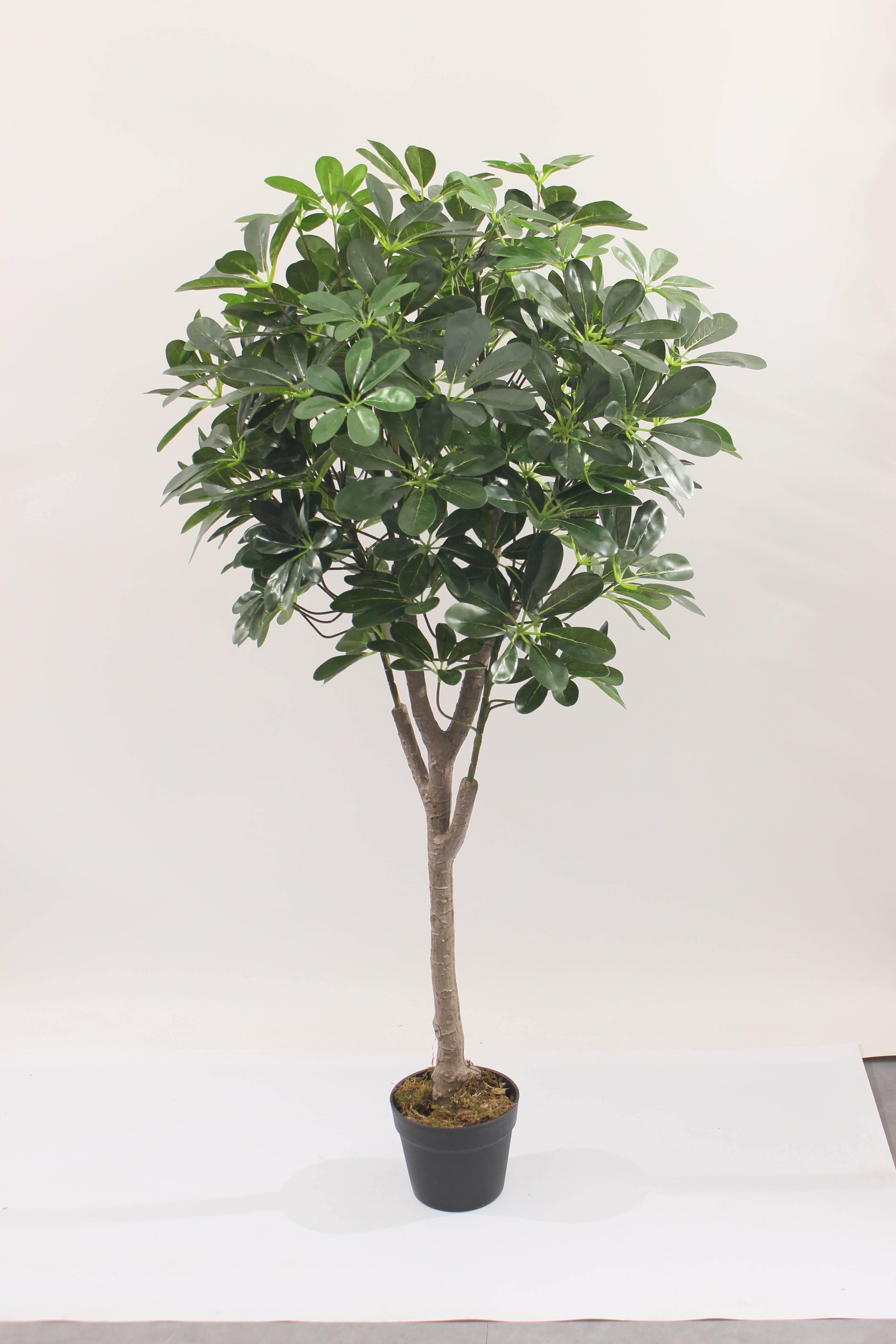 Artificial Schefflera Arboricola Tree 120cm Indoor Décor Tree