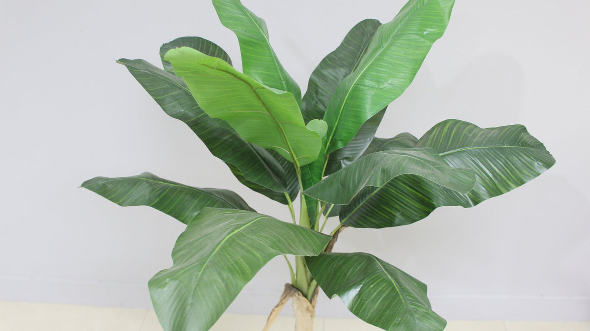 Close-up of the large leaves on the Marcolo 150 cm artificial banana tree