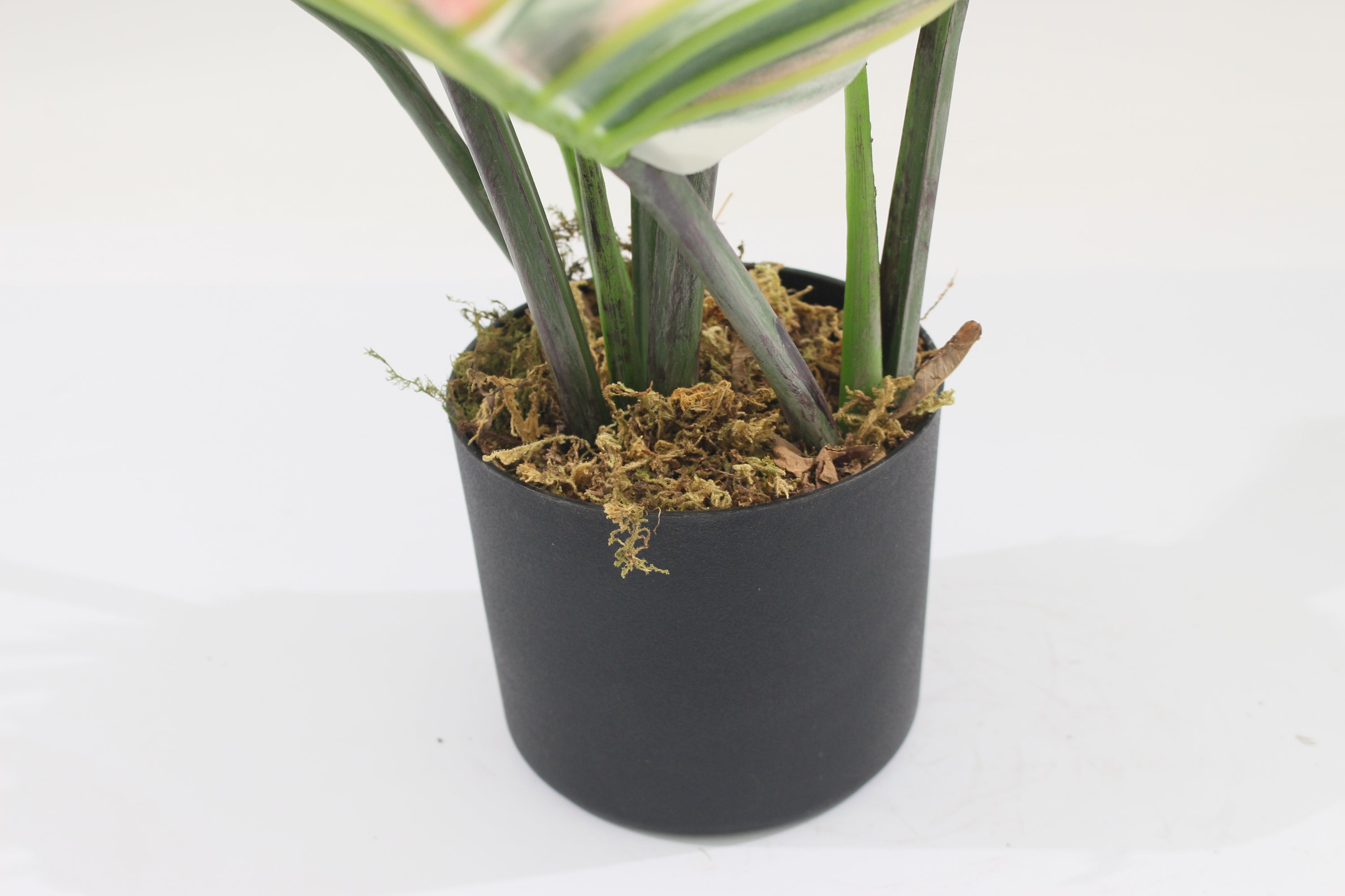 Marcolo 90cm Artificial Monstera Plant Base and Pot Detail
