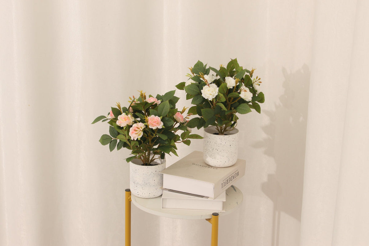 Two Marcolo 25 cm artificial rose bonsai on a side table