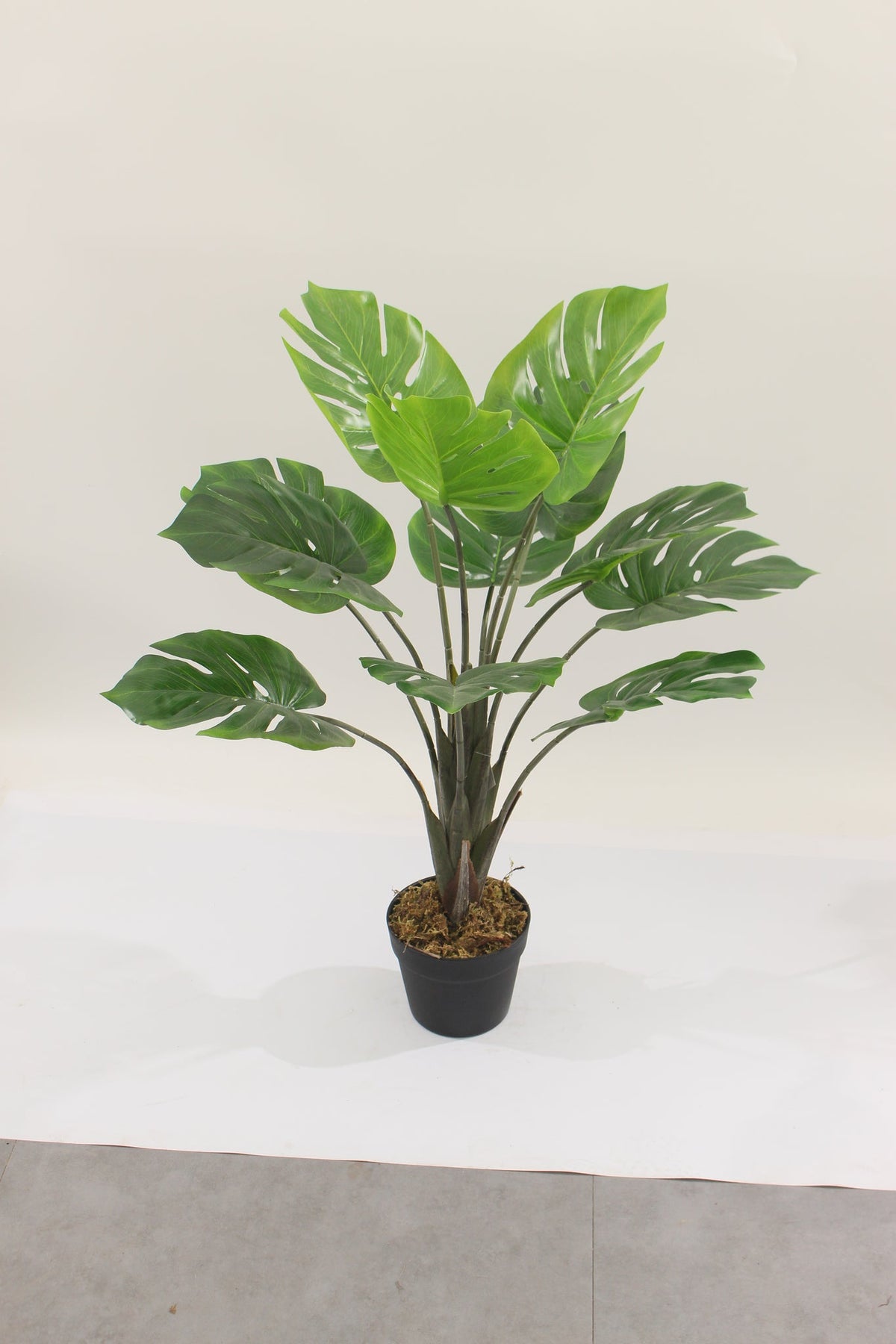 Marcolo artificial monstera plant with pot, 80 cm, full view