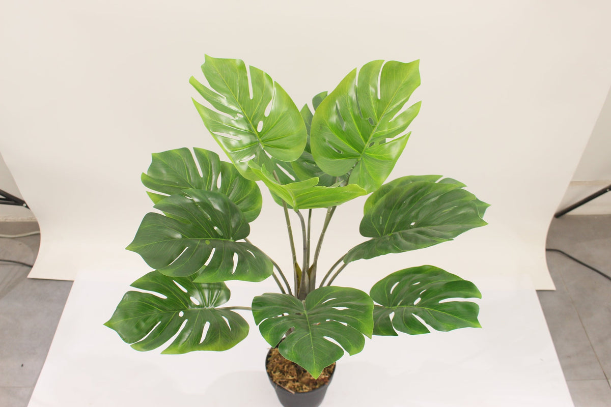 Close-up of the leaves on the Marcolo 80 cm artificial monstera plant