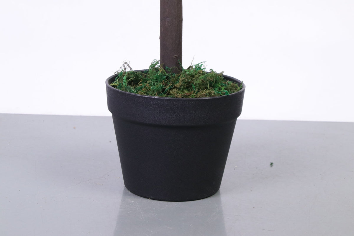 Marcolo Artificial Olive Tree Base in Black Pot with Moss