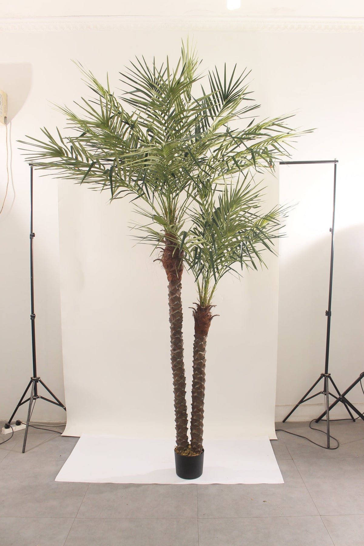 Marcolo 240cm artificial palm tree in a studio setting.