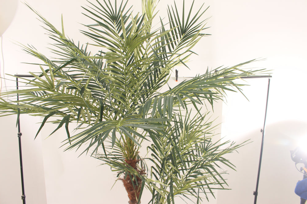 Artificial Palm Tree 240cm Extra Tall Indoor Décor Tree