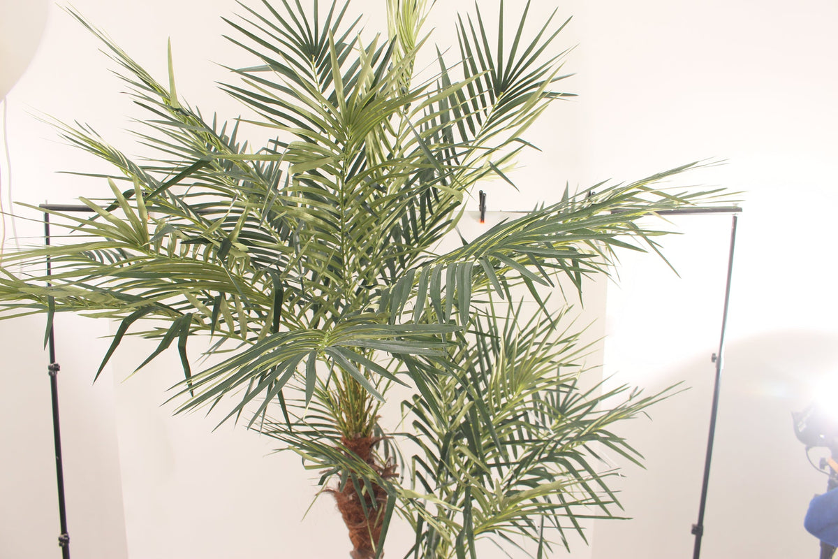 Crown of fronds on the Marcolo 240 cm artificial palm tree in a studio