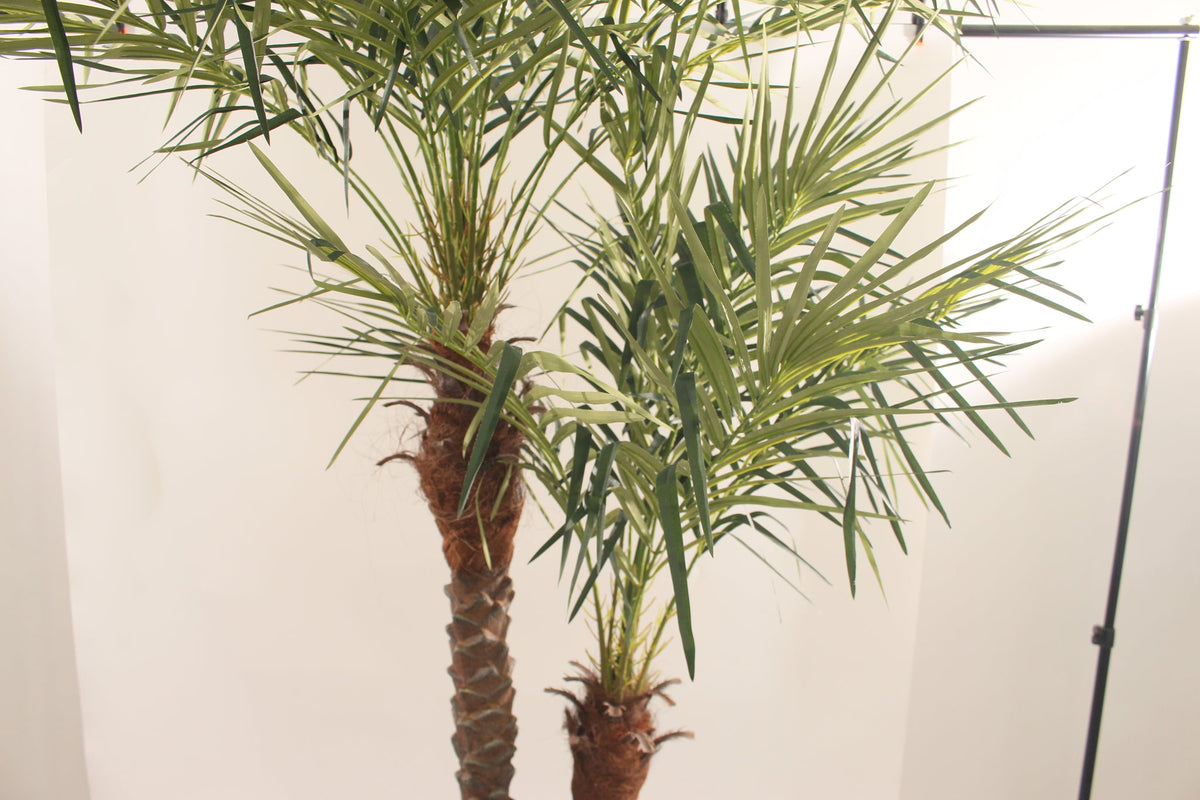 Marcolo 240cm artificial palm tree trunk and frond detail.