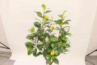 Marcolo Artificial Lemon Tree with Yellow Fruit, 110cm