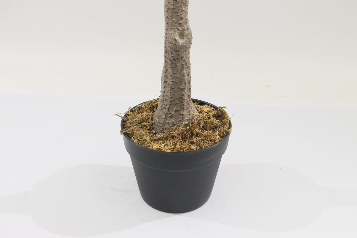 Marcolo 150cm Artificial Lemon Tree Pot and Moss Detail