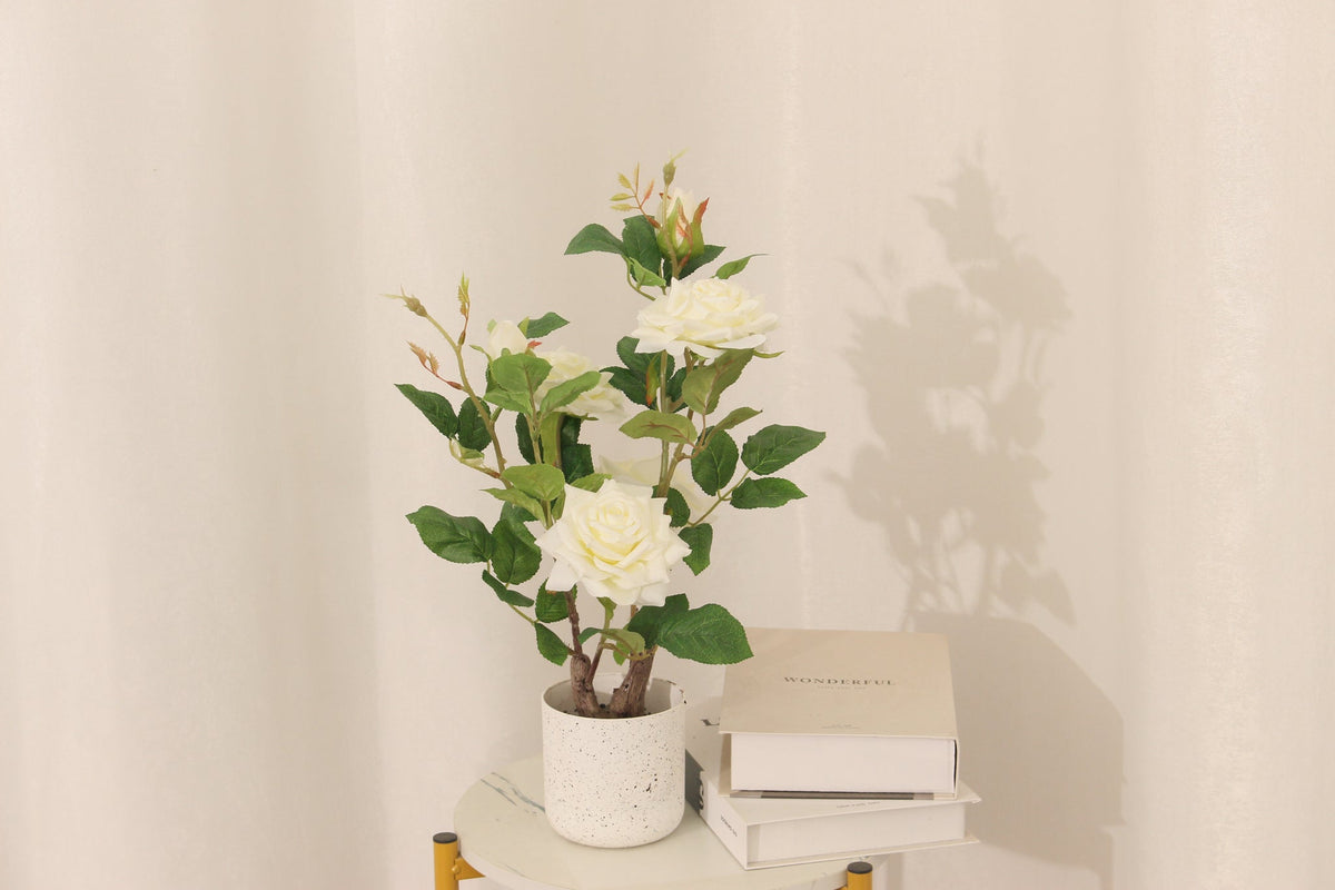 Marcolo 40 cm white artificial rose bonsai on a stack of books
