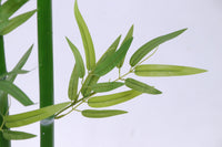 Marcolo artificial bamboo leaves with realistic long, narrow blades in a vibrant green hue.