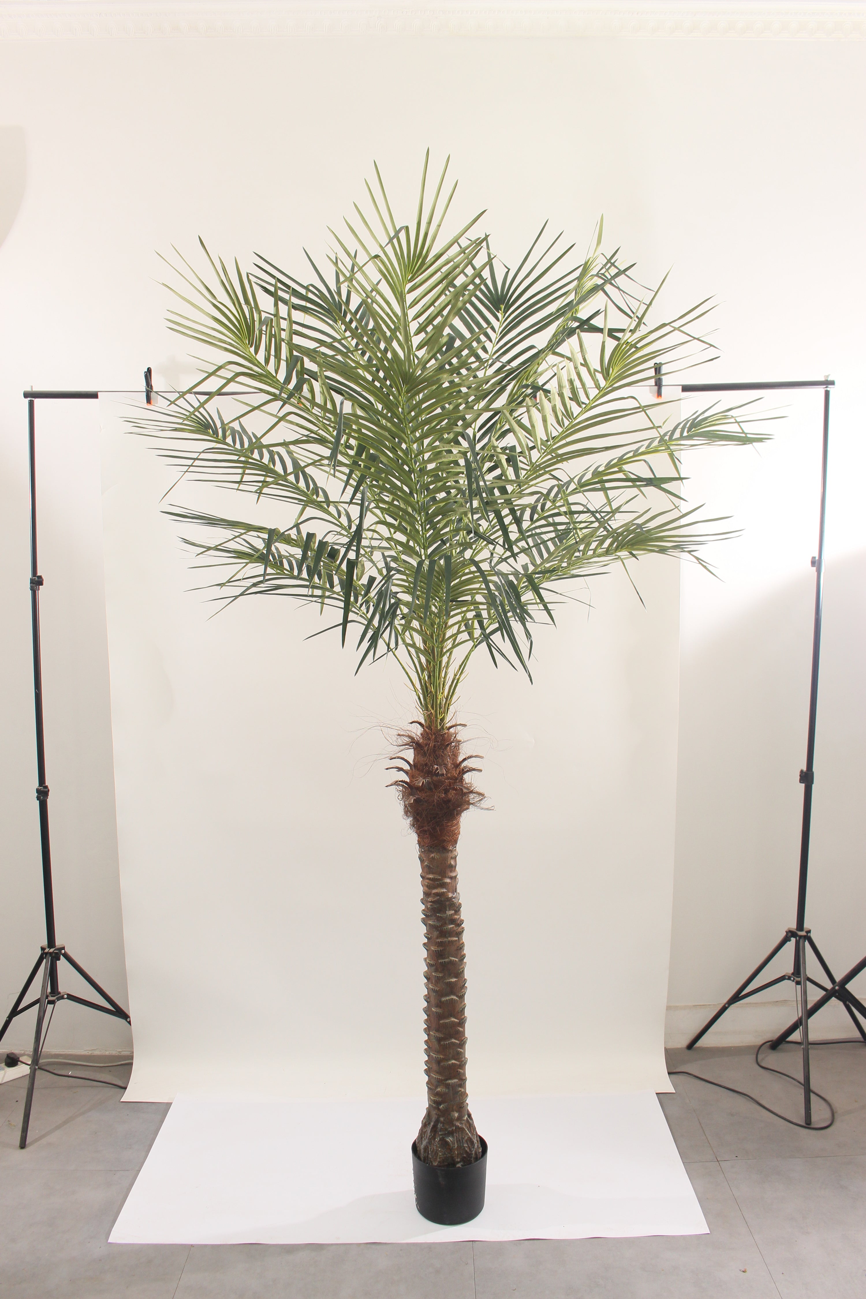 Artificial Palm Tree 210cm Tall Realistic Indoor Décor Tree