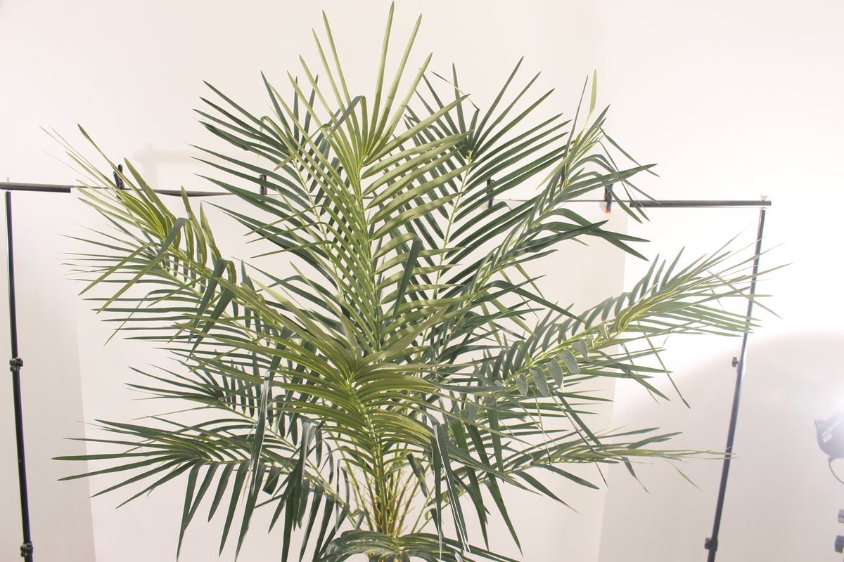 Close-up of the fine fronds on the Marcolo 210 cm artificial palm tree