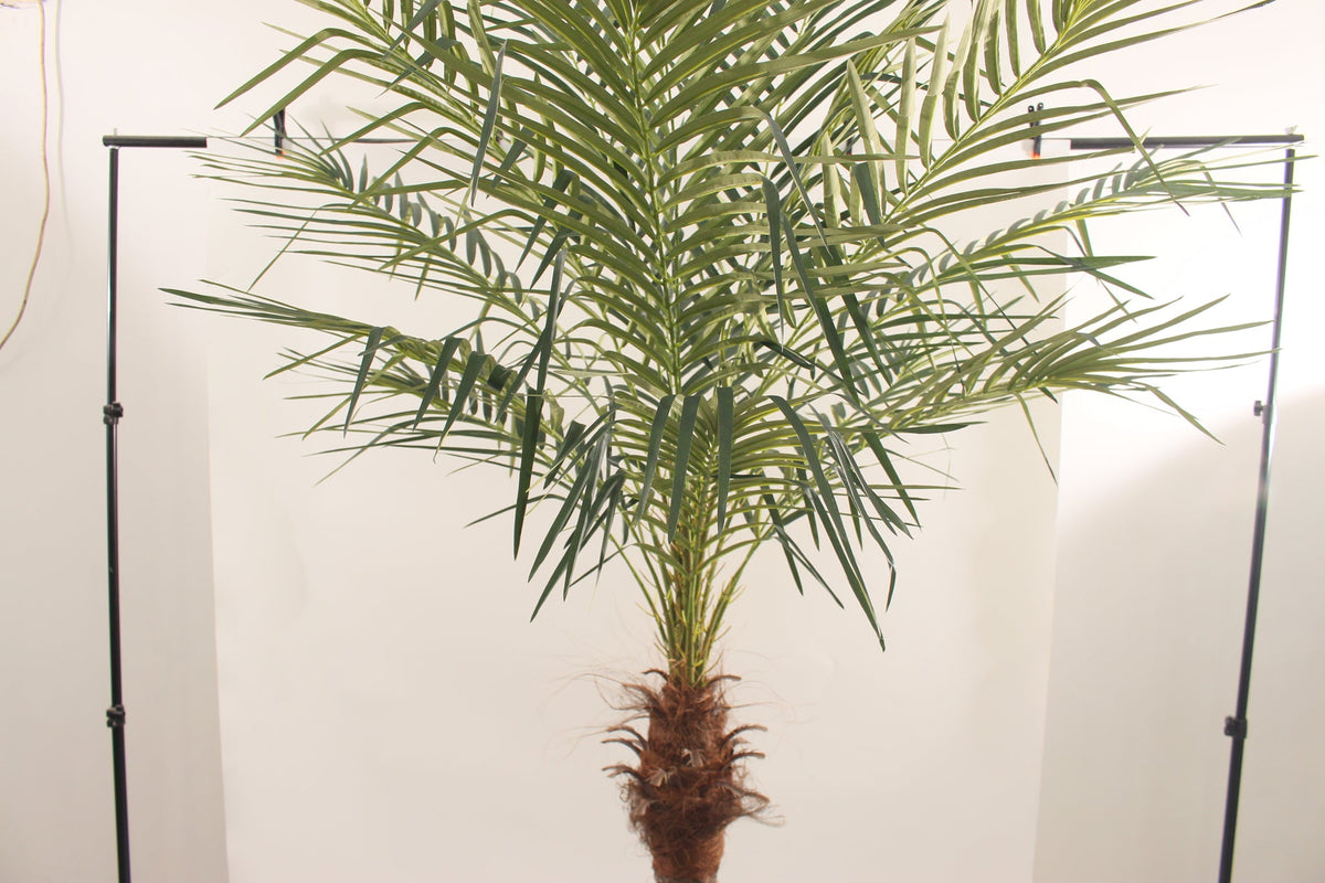 Crown of fronds on the Marcolo 210 cm artificial palm tree