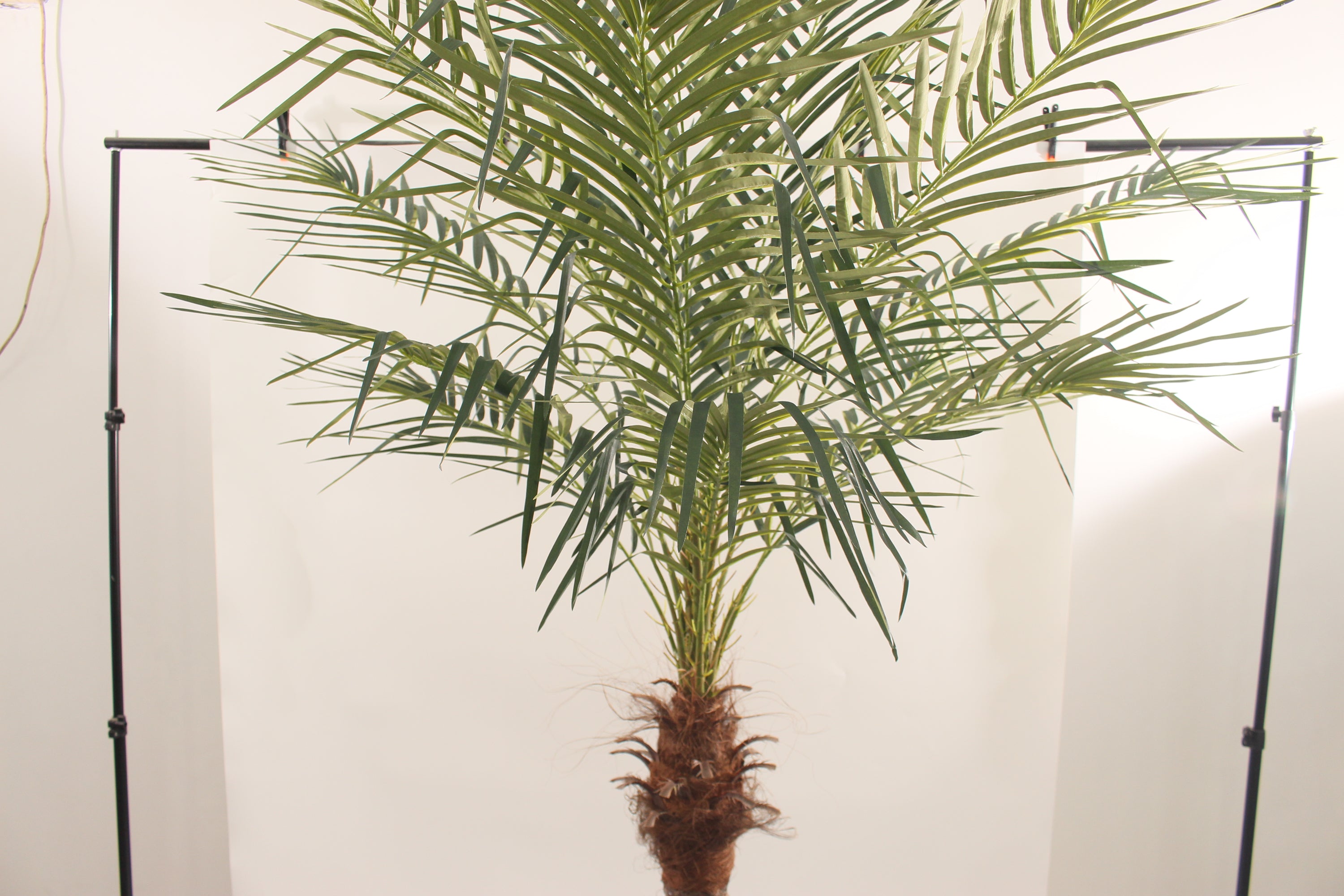 Artificial Palm Tree 210cm Tall Realistic Indoor Décor Tree