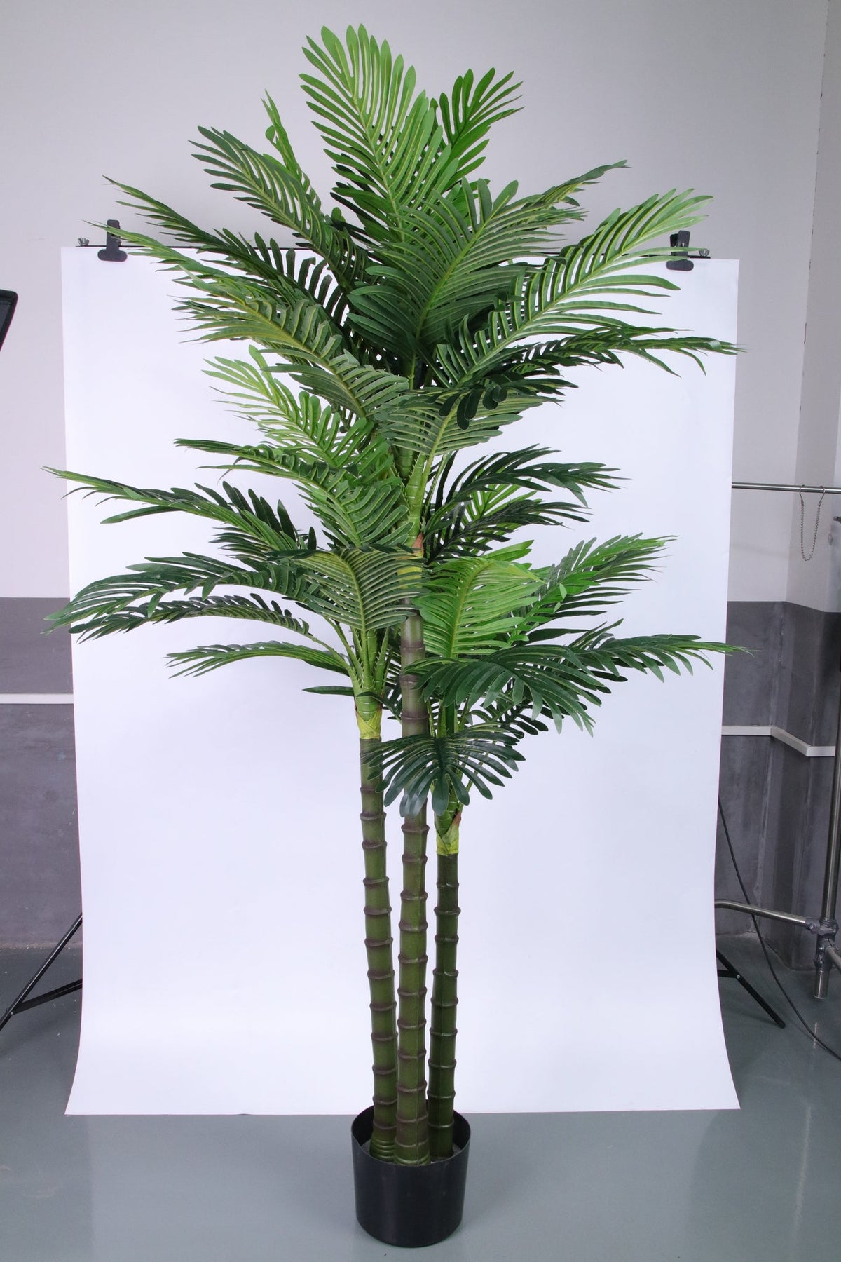 Marcolo 225cm artificial palm tree with lush green fronds.