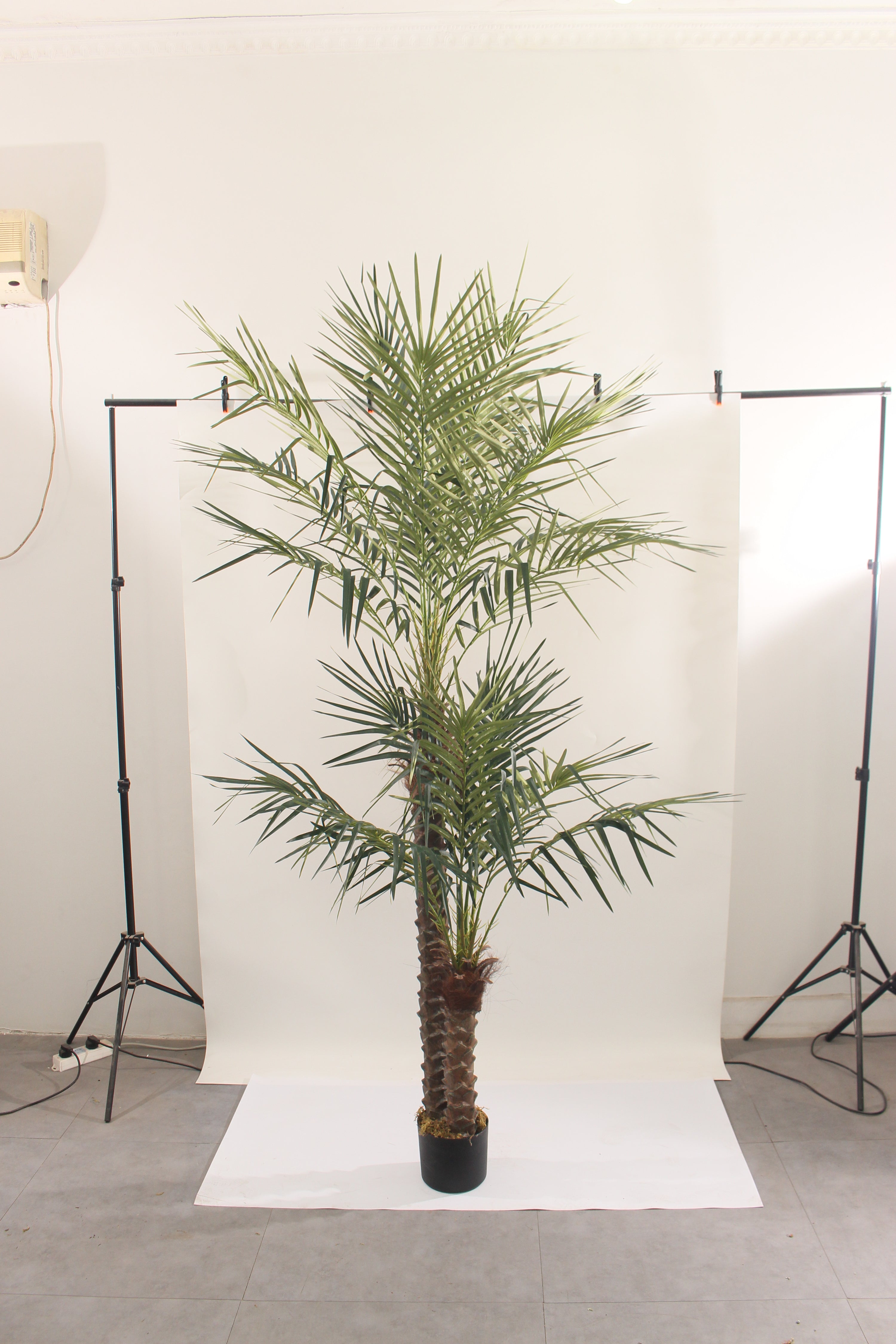 Marcolo 210cm artificial palm tree in a studio setting.