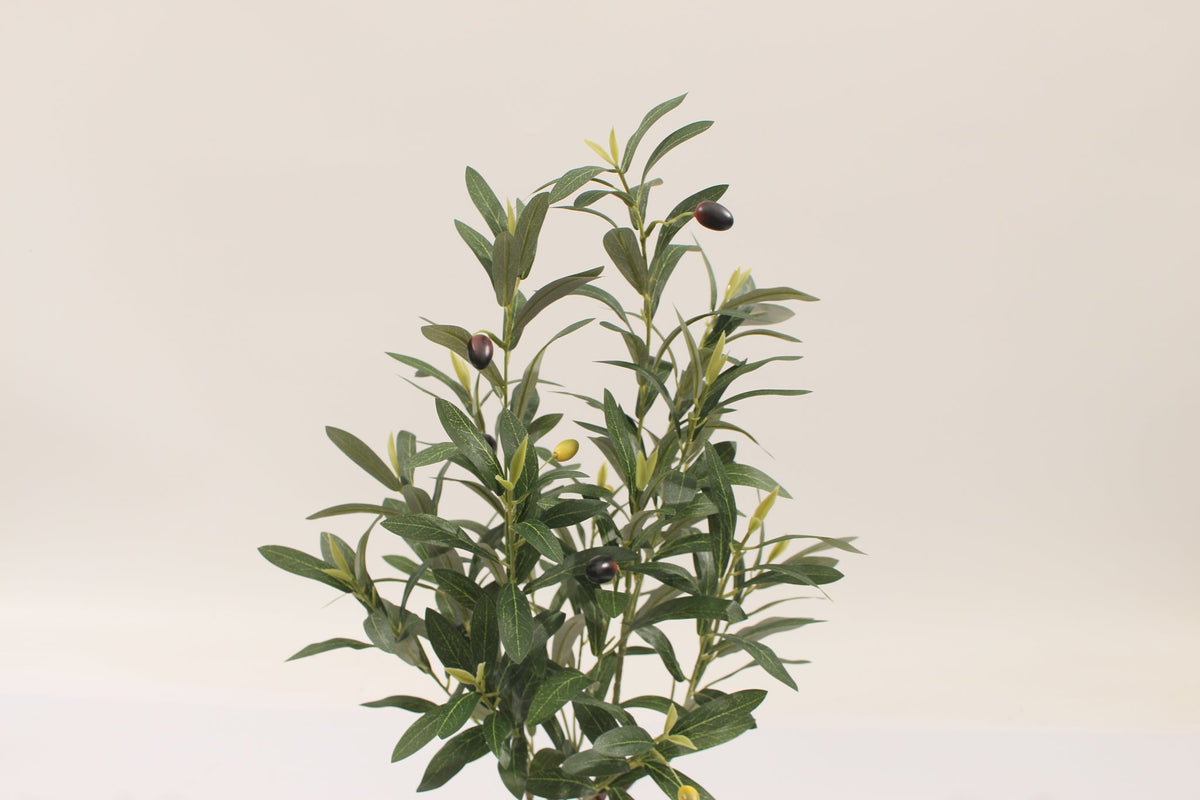 Close-up of the leaves and olives on the Marcolo 60 cm artificial olive tree