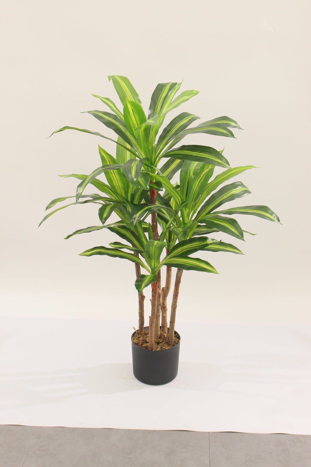 Marcolo artificial dracaena tree with pot, 90 cm, full view