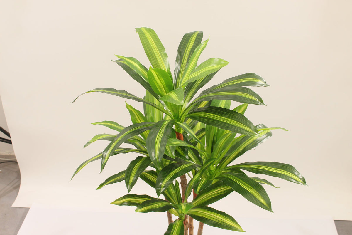 Top view of a Marcolo 90cm artificial Dracaena tree.