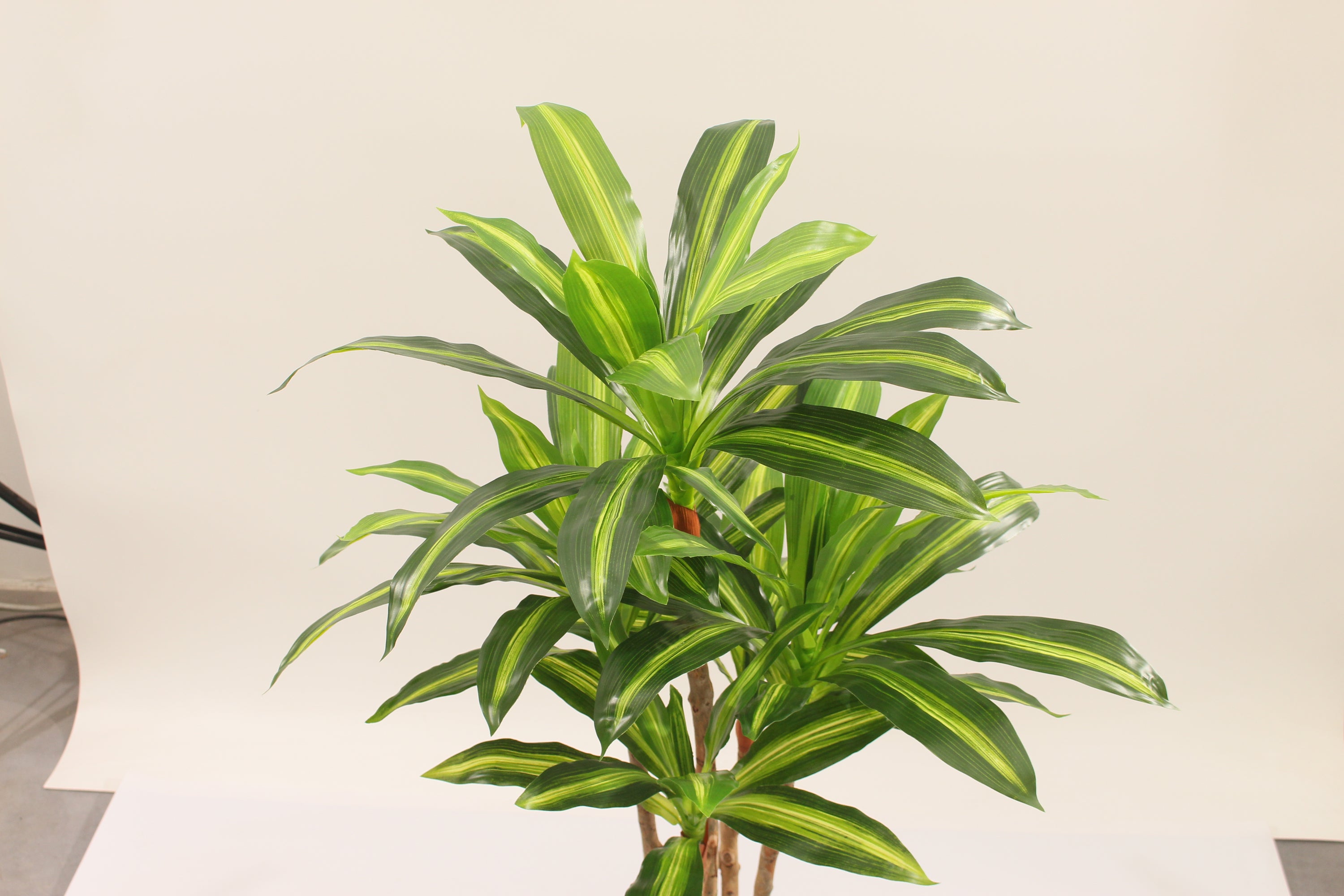 Top view of a Marcolo 90cm artificial Dracaena tree.