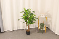 Marcolo 90cm artificial Dracaena tree in an indoor setting.