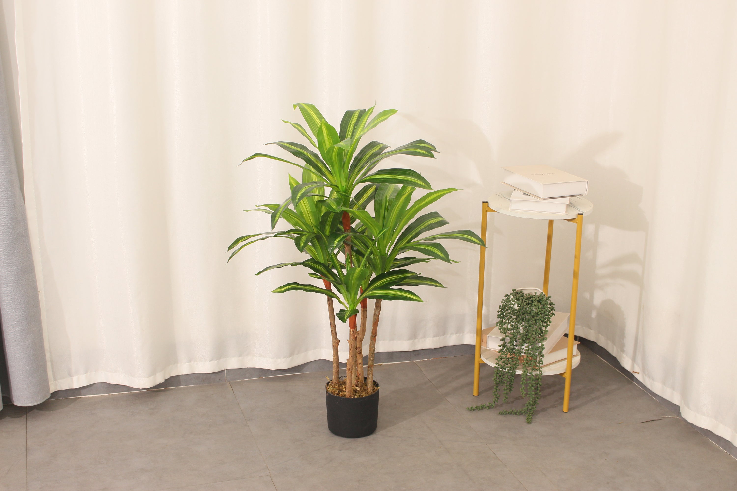 Marcolo 90cm artificial Dracaena tree in an indoor setting.