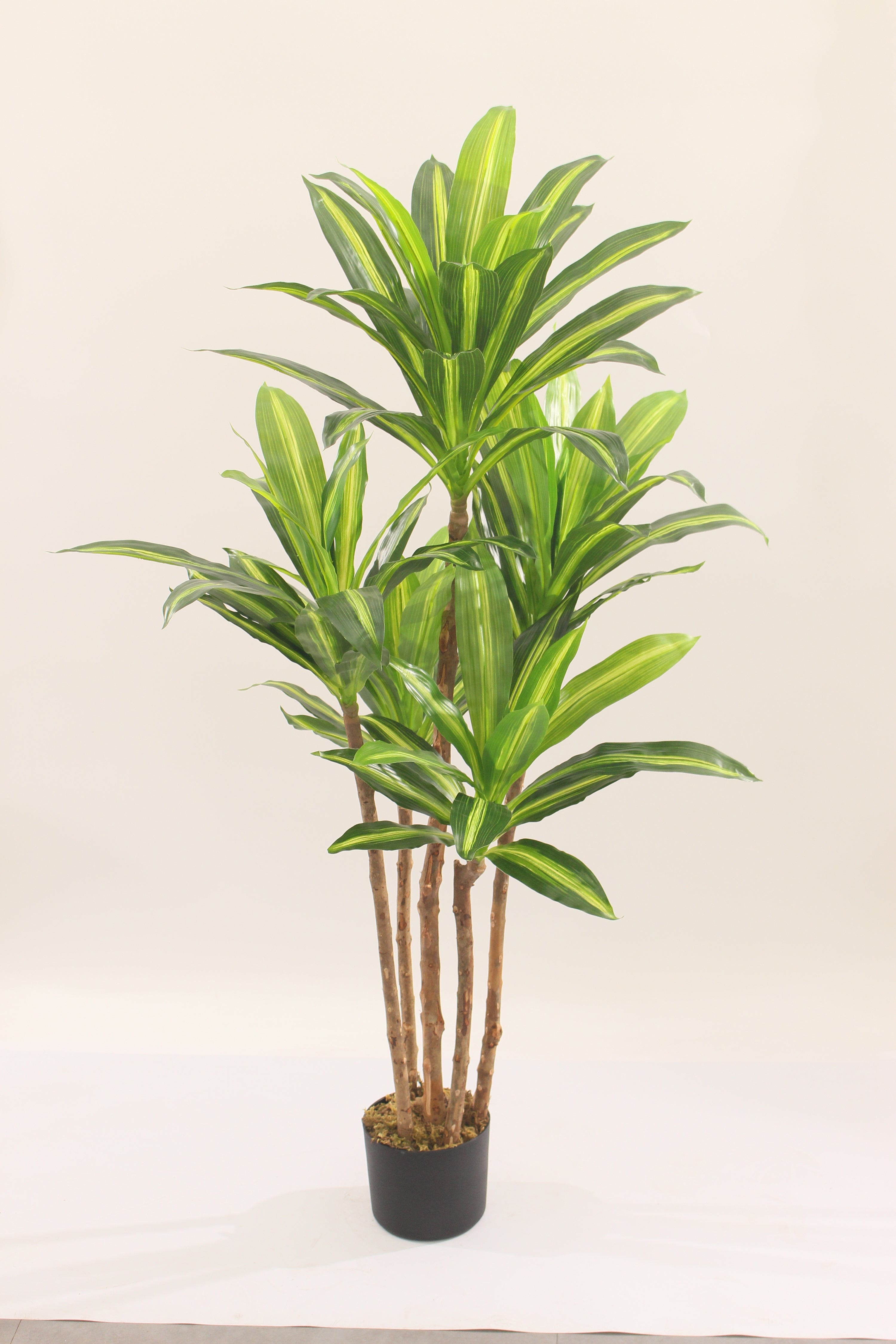 120cm artificial Dracaena tree with multiple trunks by Marcolo.