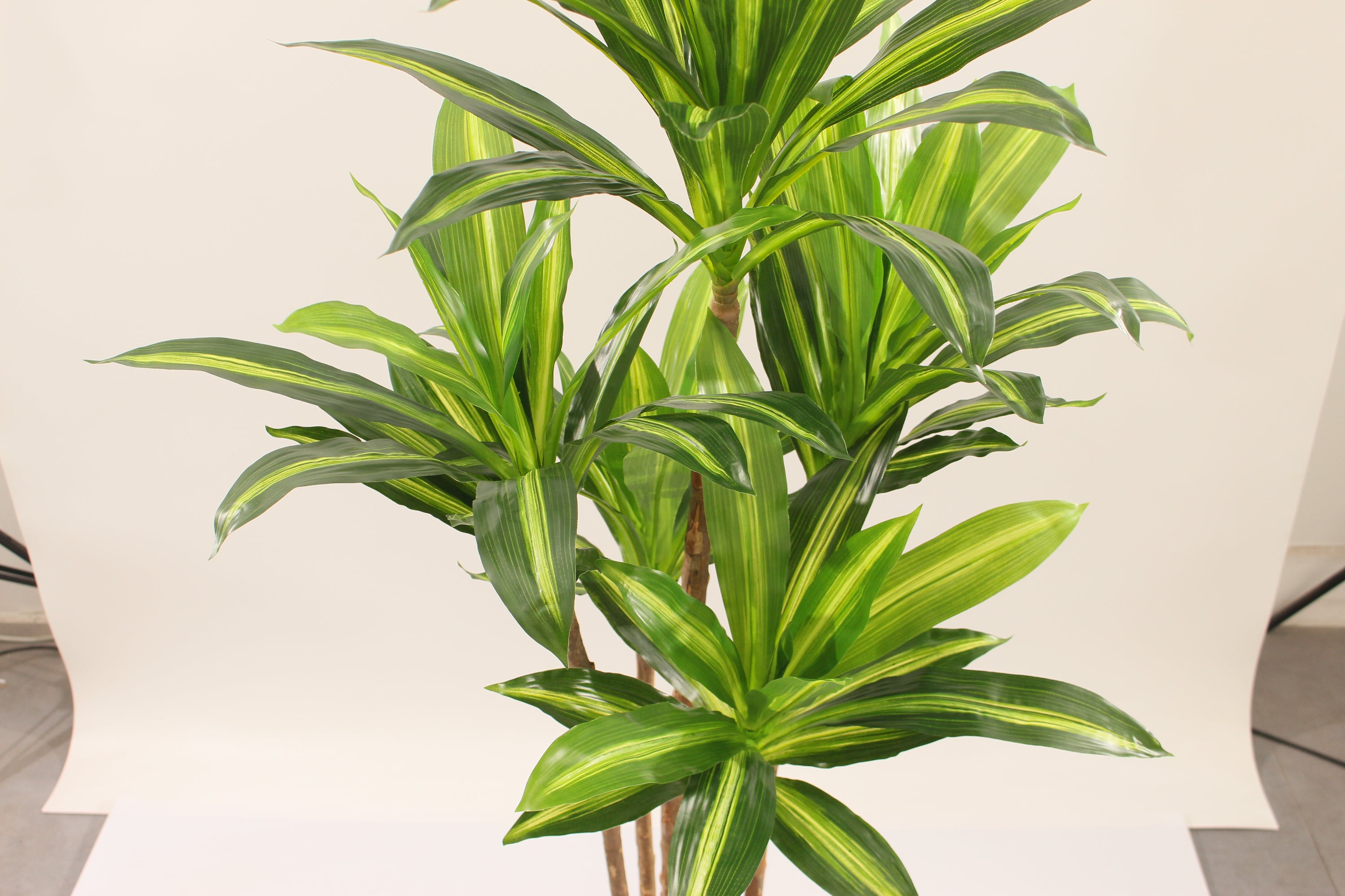 Marcolo artificial Dracaena tree with vibrant green leaves.