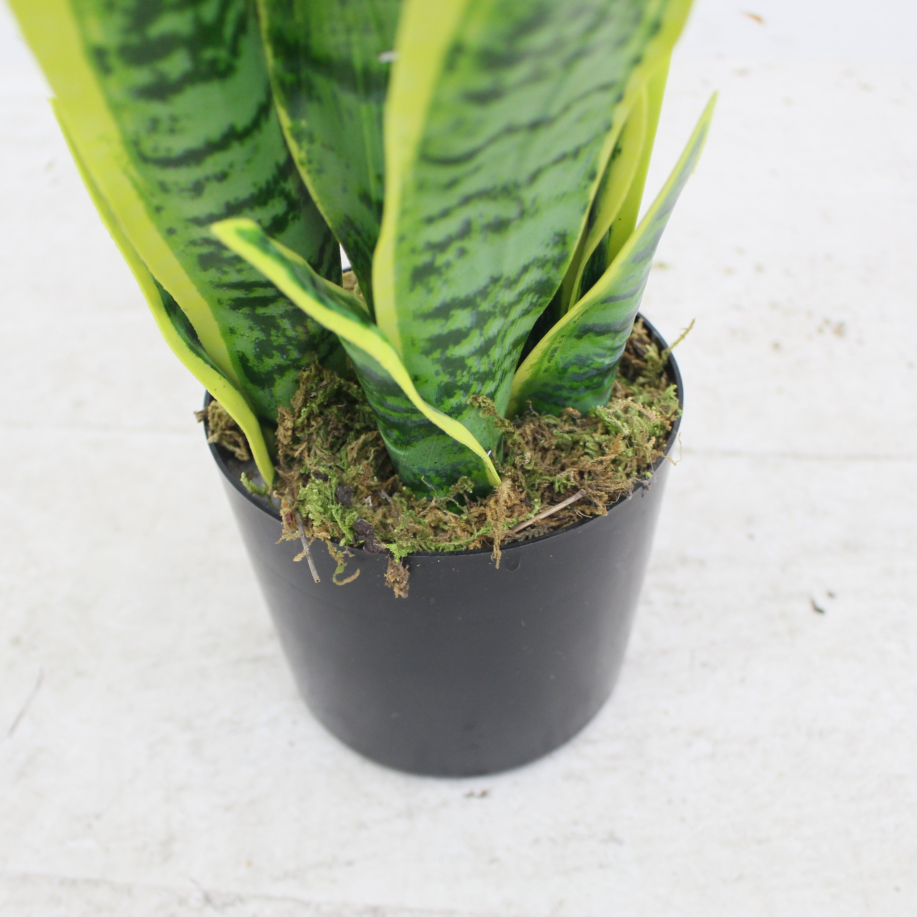 Artificial Sansevieria Plant 65cm Modern Indoor Décor Plant