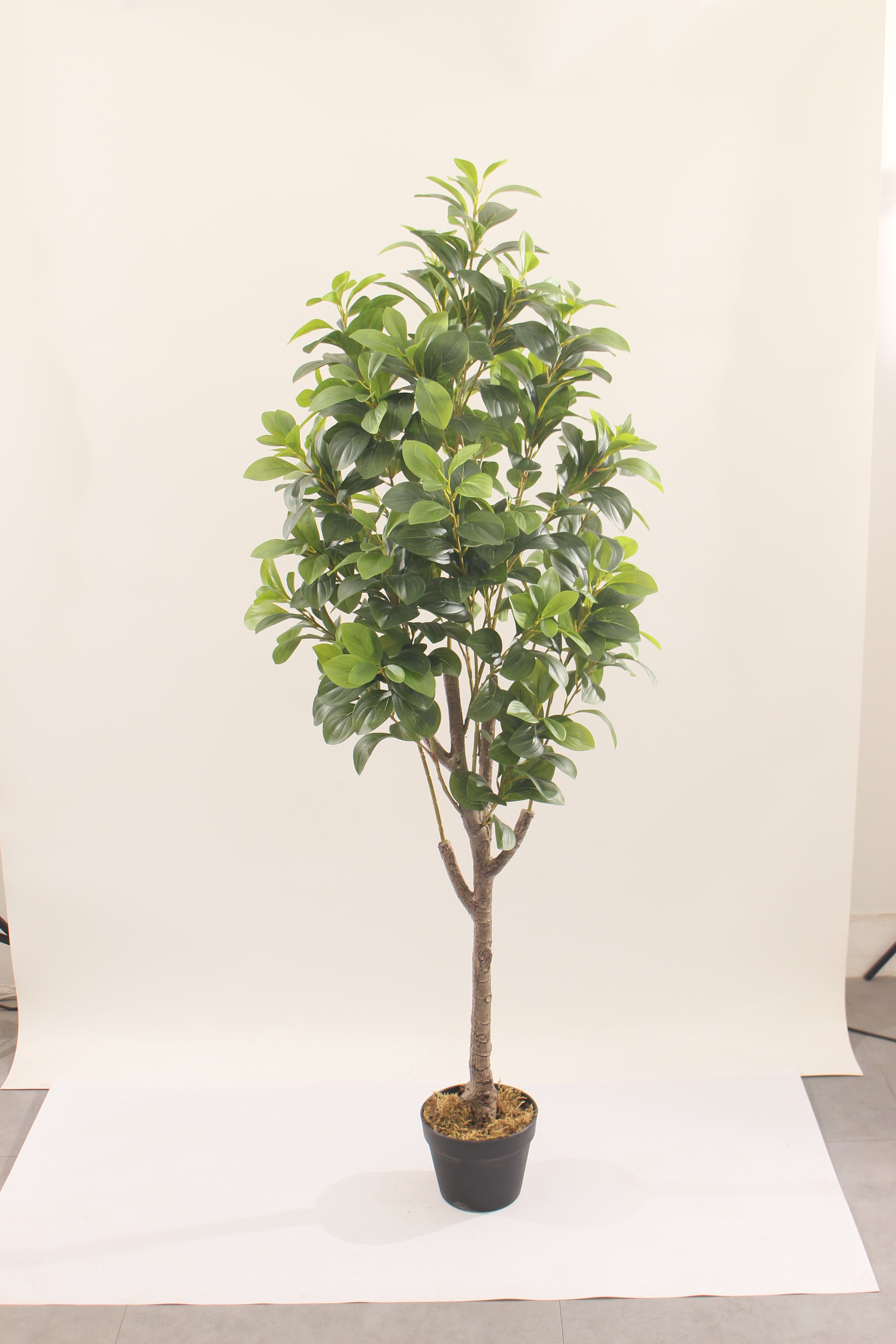 Artificial Peperomia Rubber Plant 150cm Indoor Decorative Plant