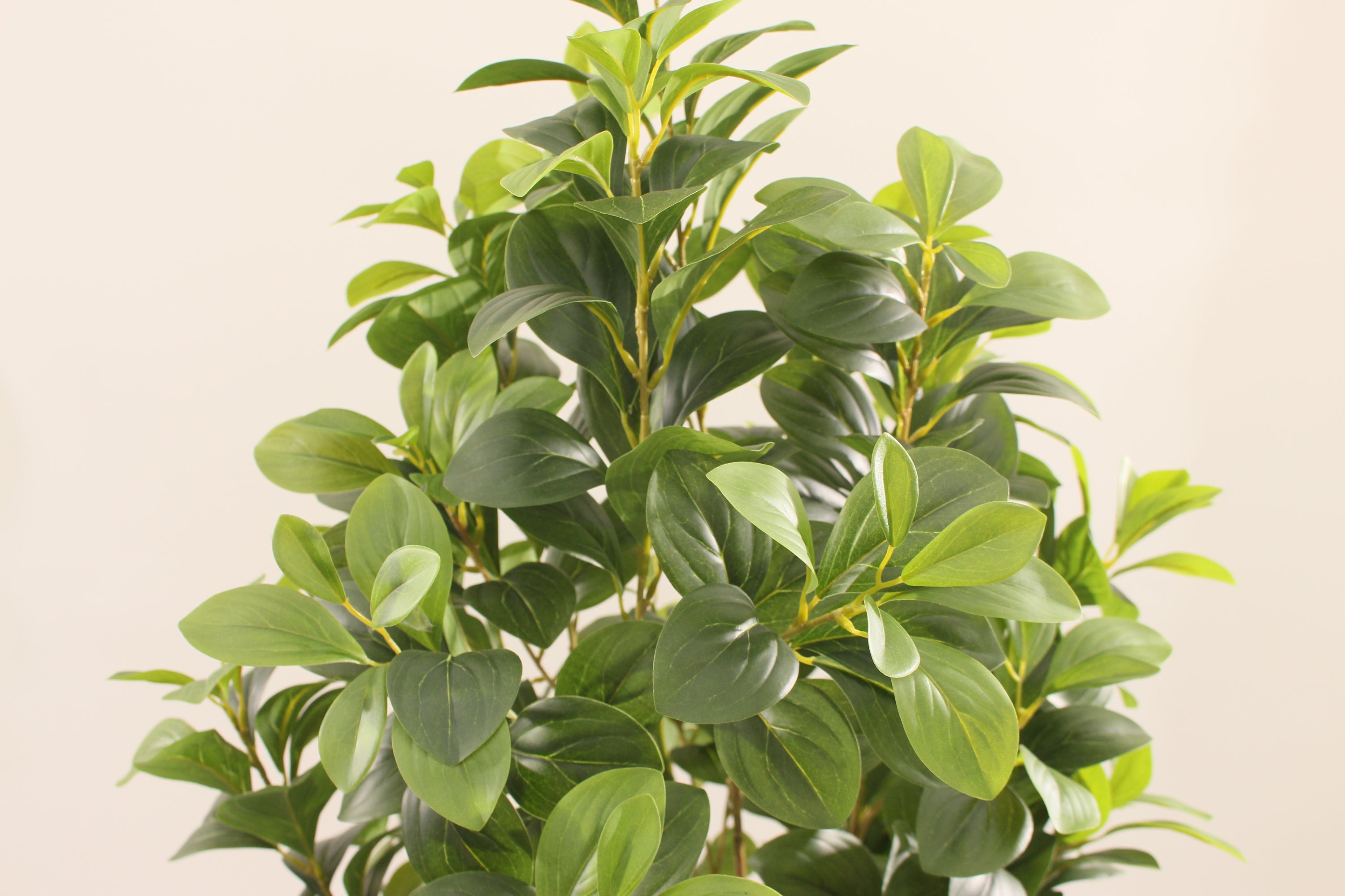 Artificial Peperomia Rubber Plant 150cm Indoor Decorative Plant