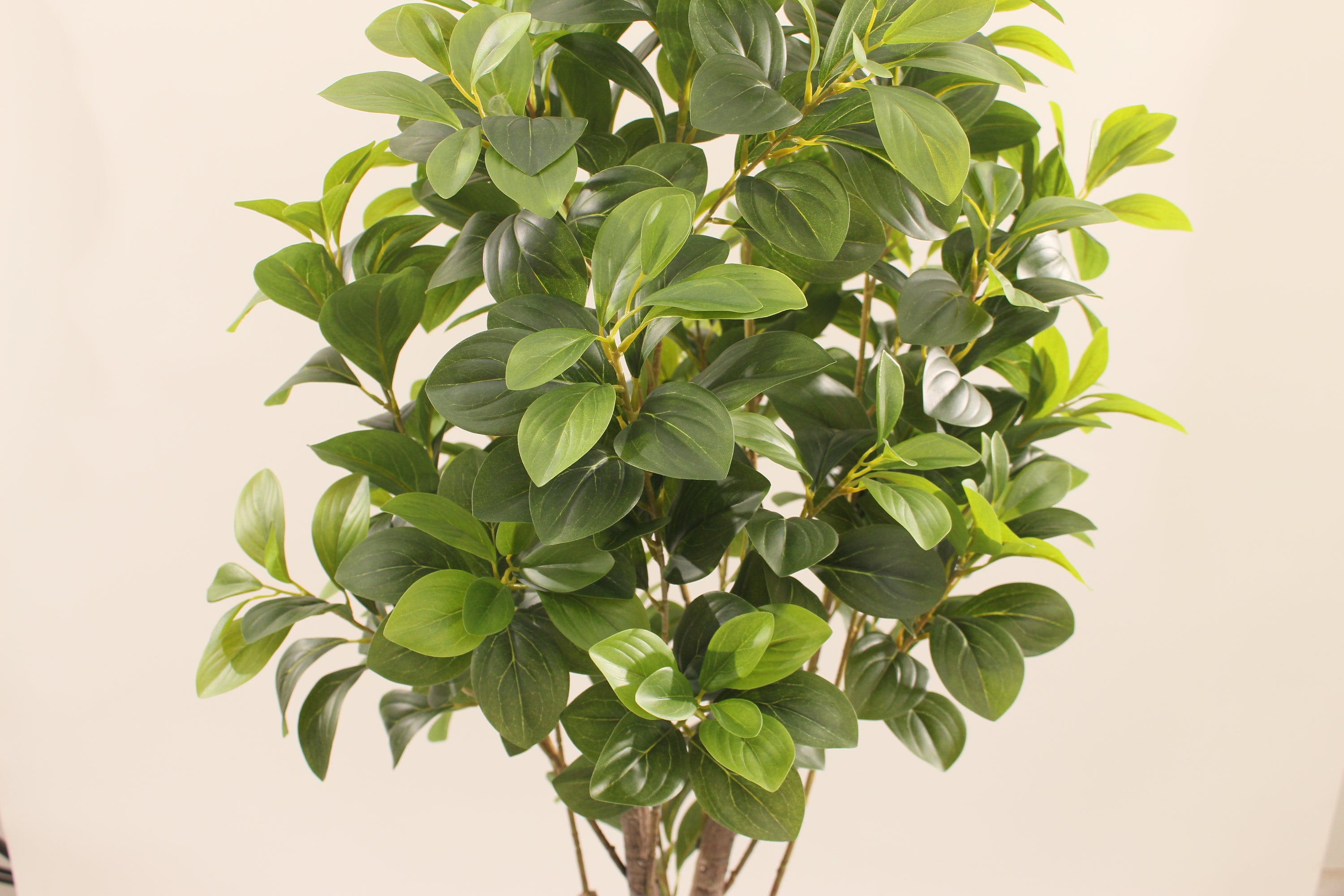 Artificial Peperomia Rubber Plant 150cm Indoor Decorative Plant