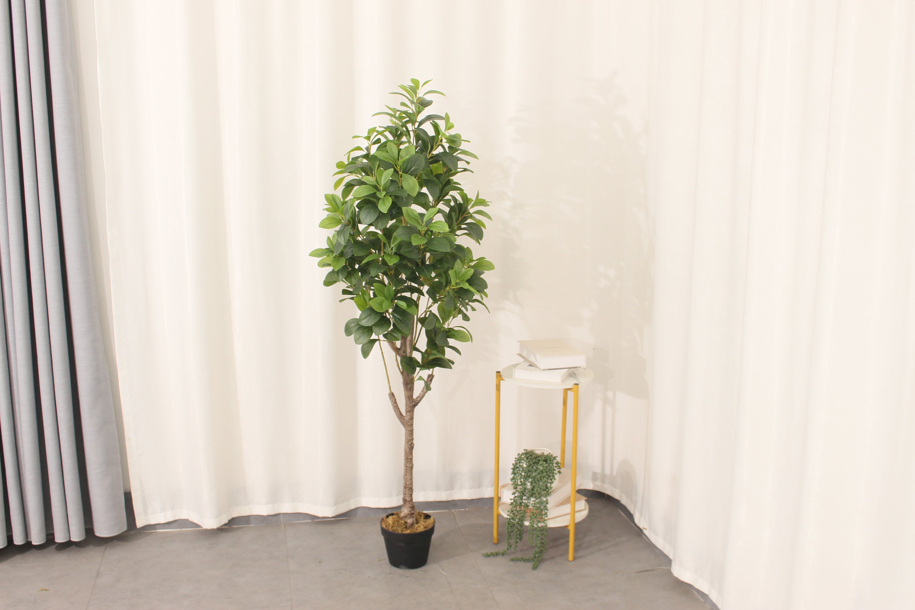 Artificial Peperomia Rubber Plant 150cm Indoor Decorative Plant
